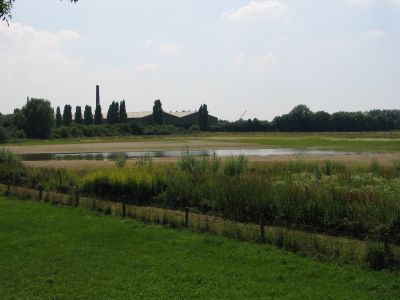 landscape 2